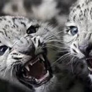 Meet your Posher, Donald wayne